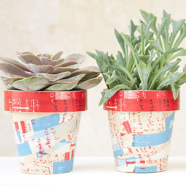 Graffiti Succulent Pots Project