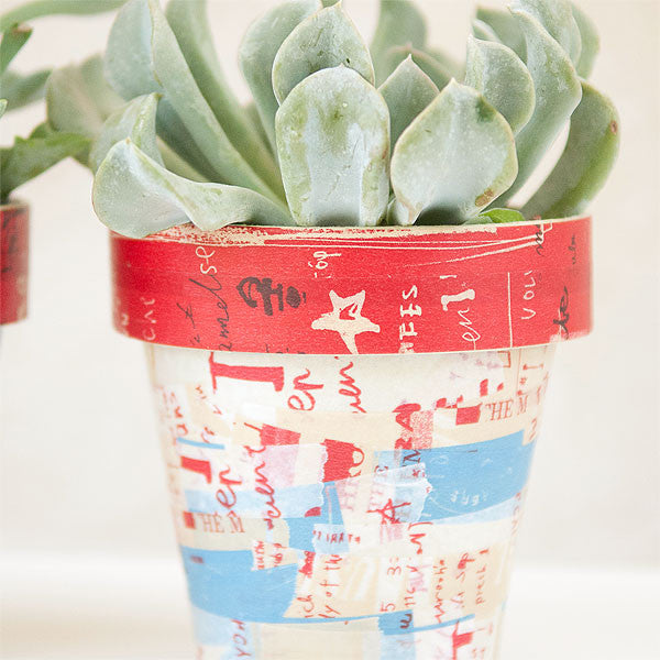 Graffiti Succulent Pots Project