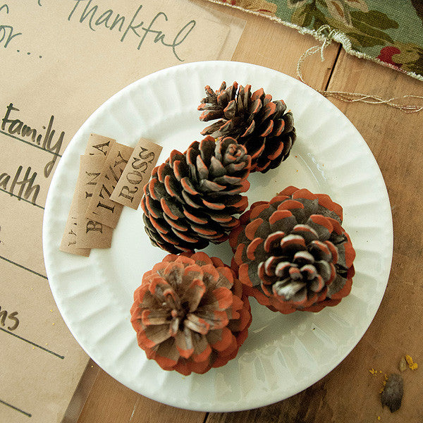 Harvest Affaire Pinecone Place Cards Project