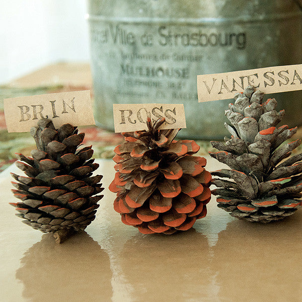 Harvest Affaire Pinecone Place Cards Project