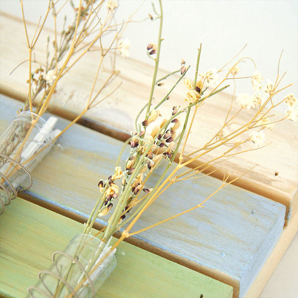 Belle Jardinière Painted Pallet Project