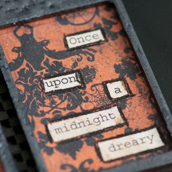The Raven Project by Sarah Donawerth