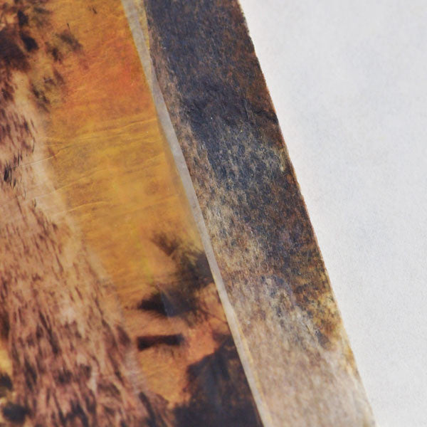 Casa Vista Palmiers Transparencies Two Ways Projects + A FREE Printable
