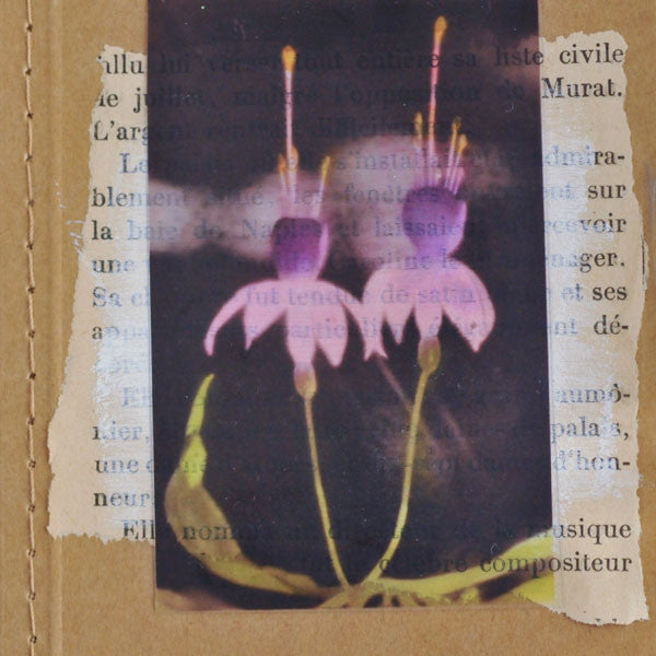 Casa Vista Palmiers Transparencies Two Ways Projects + A FREE Printable