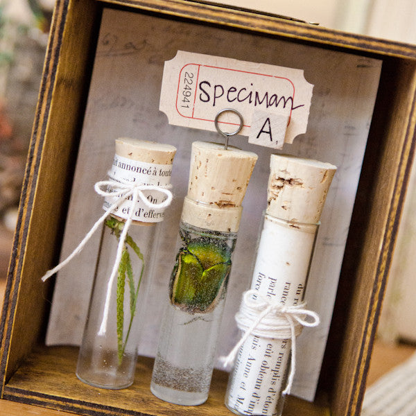 Scientific Specimens Project