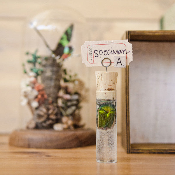Scientific Specimens Project