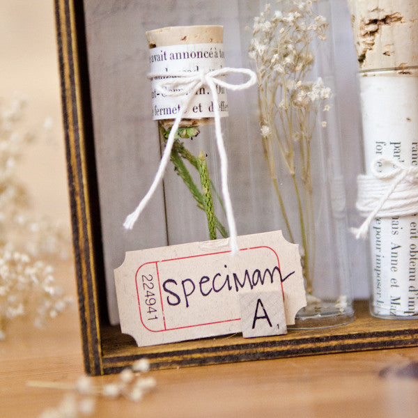 Scientific Specimens Project