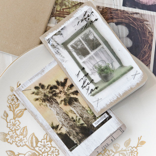 Transparently Trendy Project