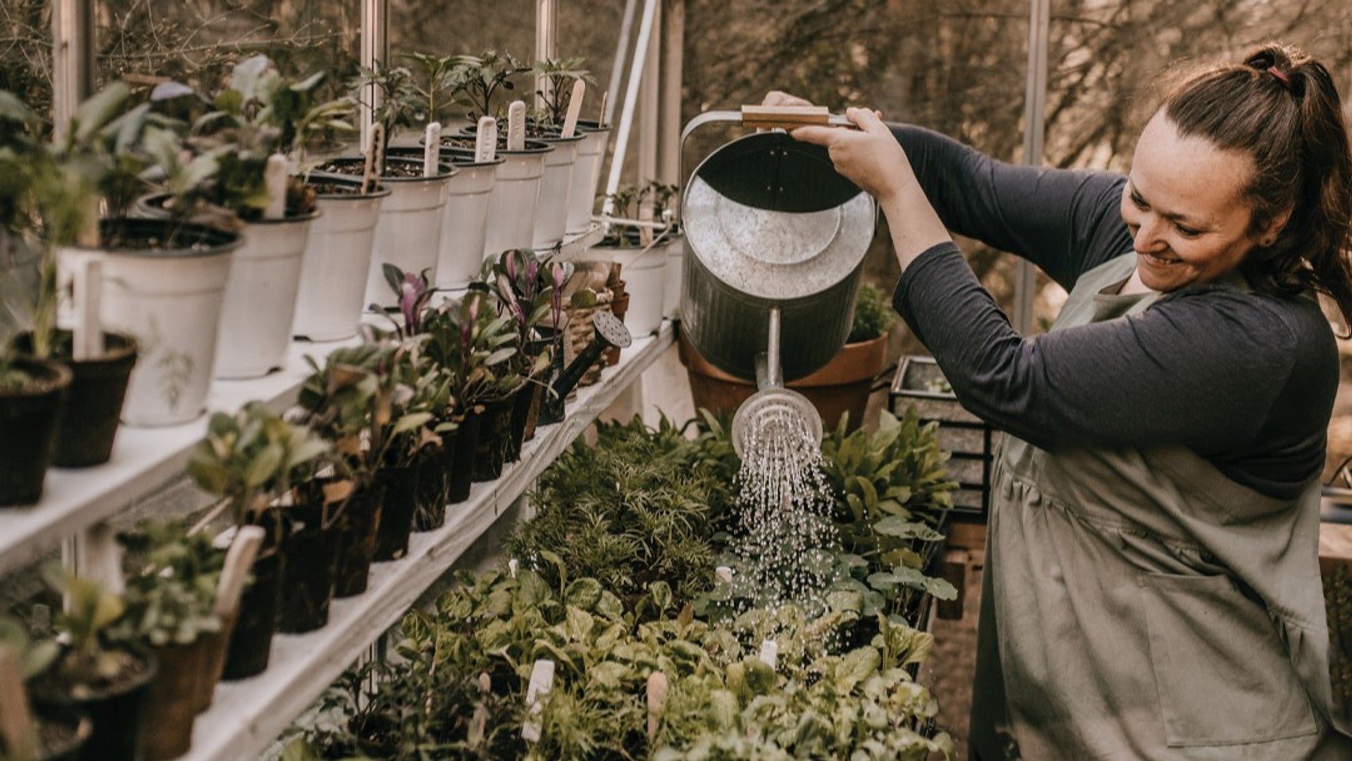 Winter Gardening Inspiration from In Her Garden