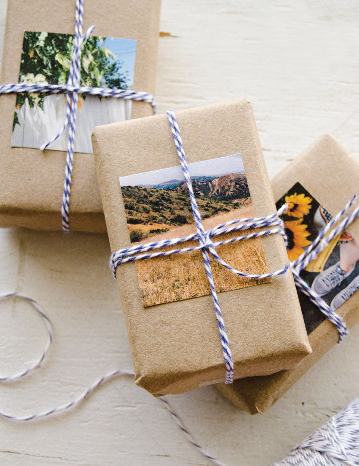 Willow and Sage Spring 2016 Instant Download