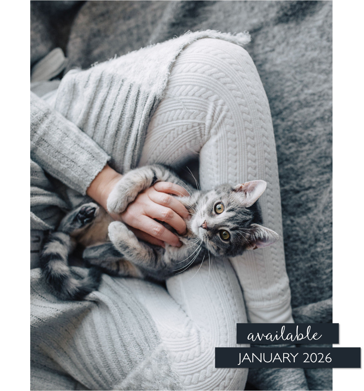 Bella Grace Book of Lists Volume 4 Pre-Order