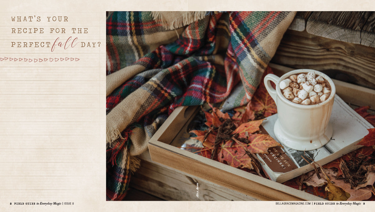 Field Guide to Everyday Magic Issue 8