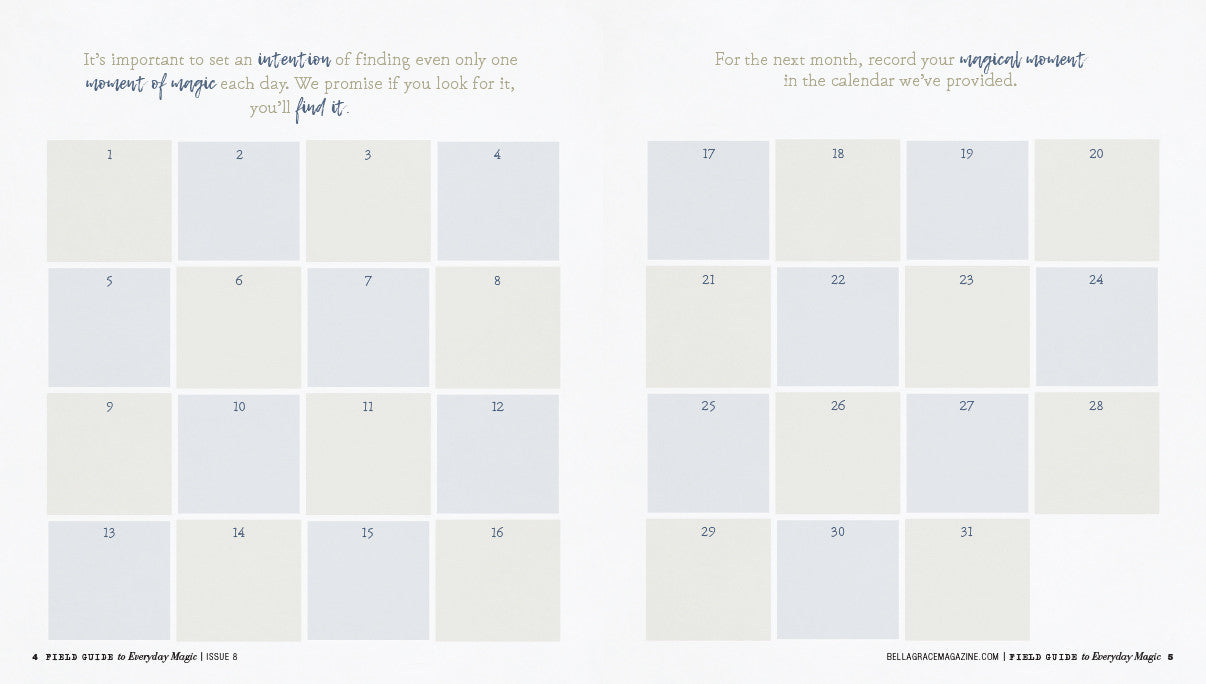 Field Guide to Everyday Magic Issue 8