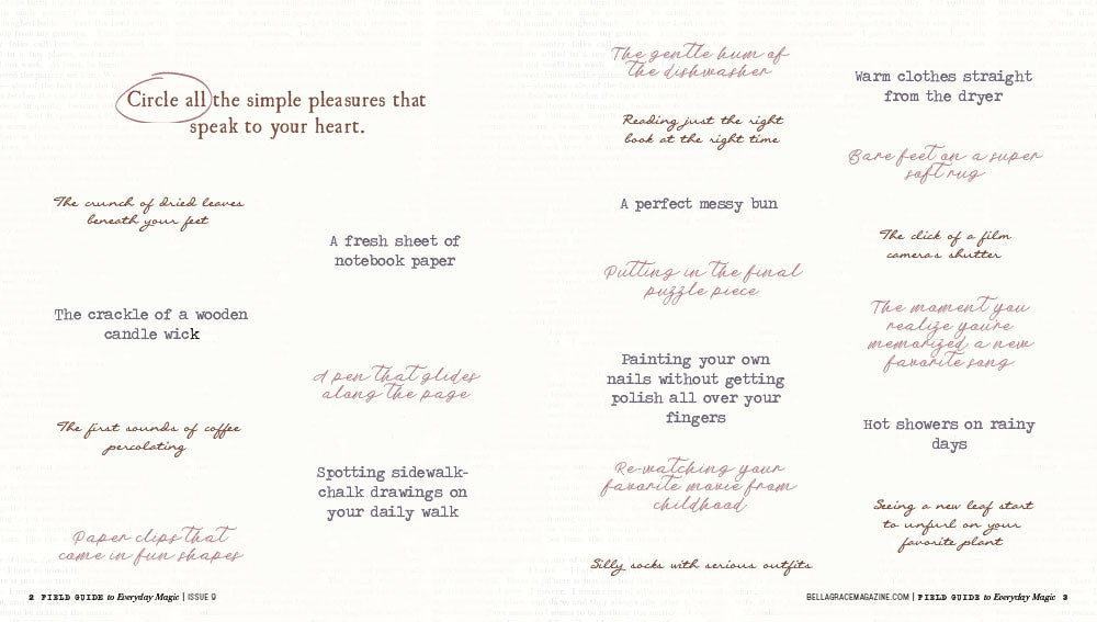 Field Guide to Everyday Magic Issue 9