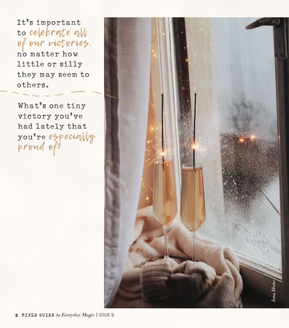 Field Guide to Everyday Magic Issue 9