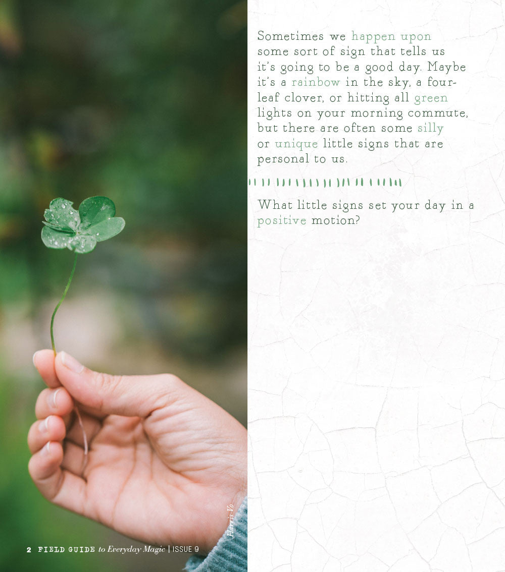 Field Guide to Everyday Magic Issue 9