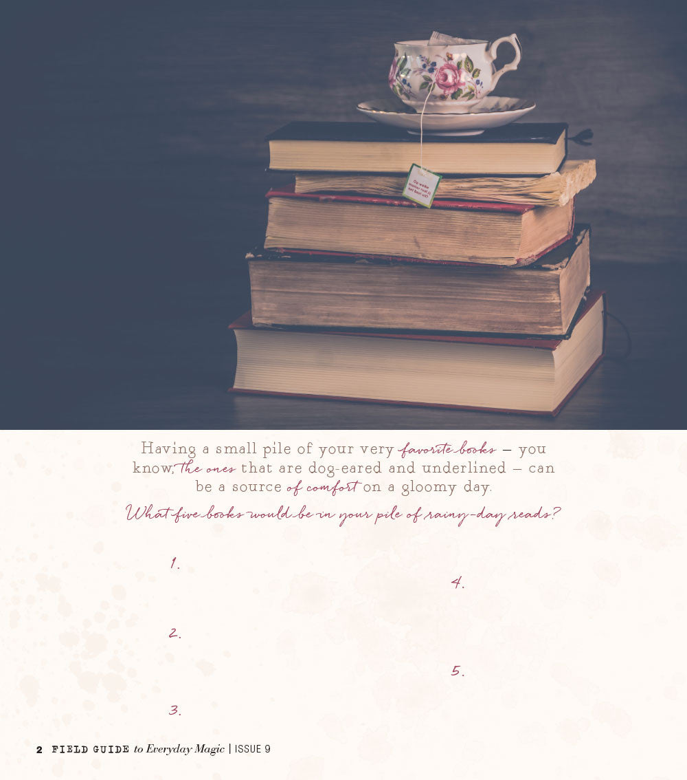 Field Guide to Everyday Magic Issue 9