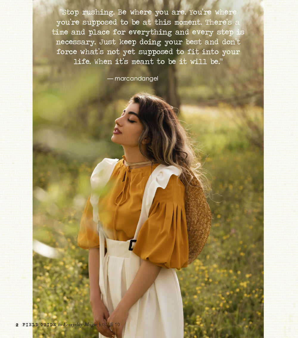 Field Guide to Everyday Magic Issue 10