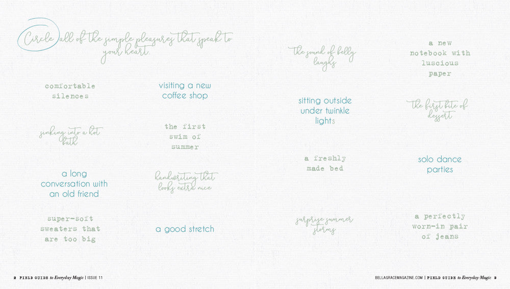 Field Guide to Everyday Magic Issue 11