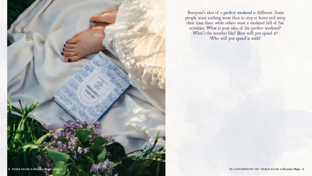 Field Guide to Everyday Magic Issue 11