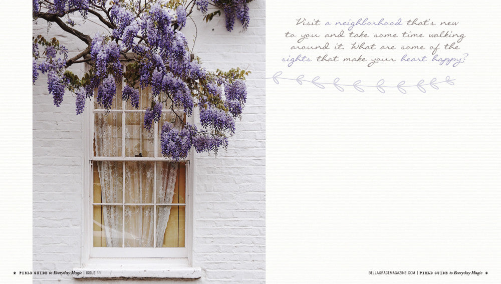 Field Guide to Everyday Magic Issue 11 Instant Download