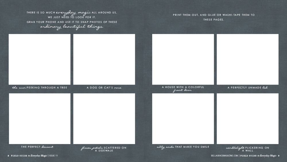 Field Guide to Everyday Magic Issue 11