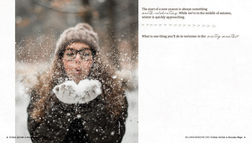 Field Guide to Everyday Magic Issue 12 Instant Download