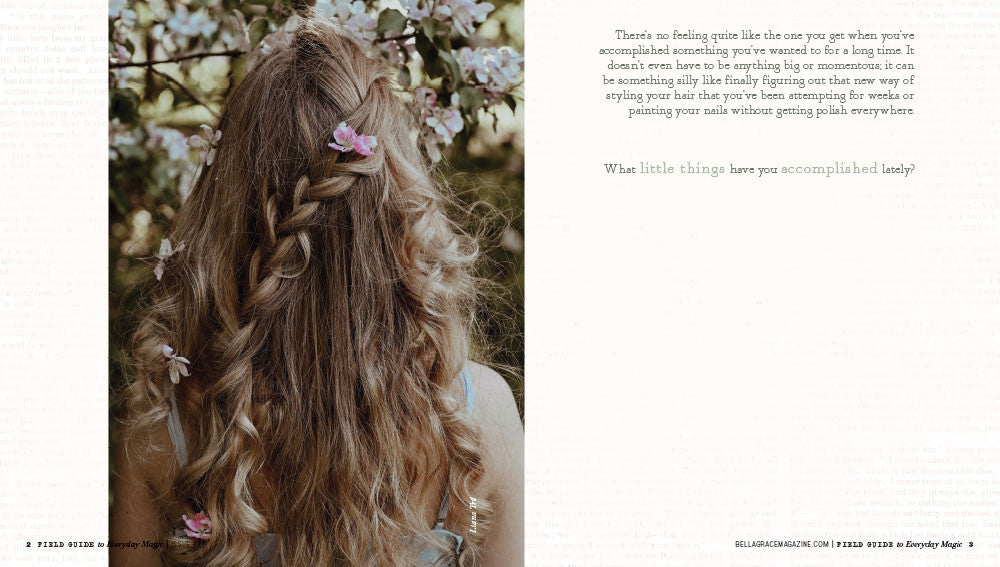 Field Guide to Everyday Magic Issue 12