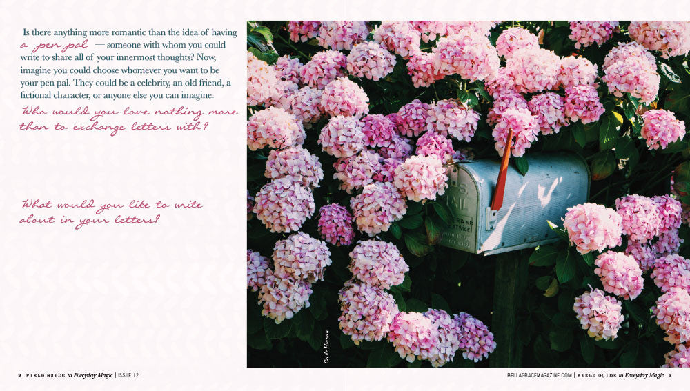 Field Guide to Everyday Magic Issue 12 Instant Download