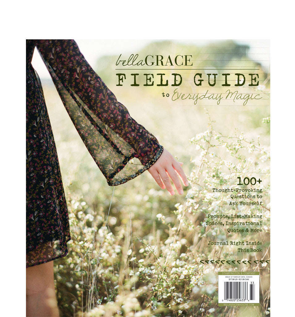 Field Guide to Everyday Magic Issue 12