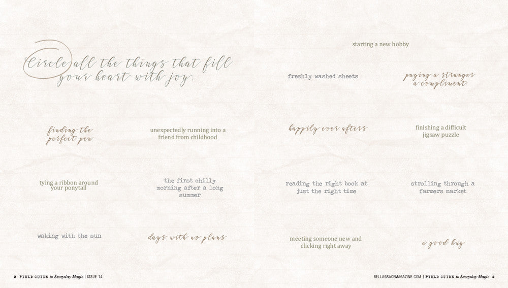 Field Guide to Everyday Magic Issue 14