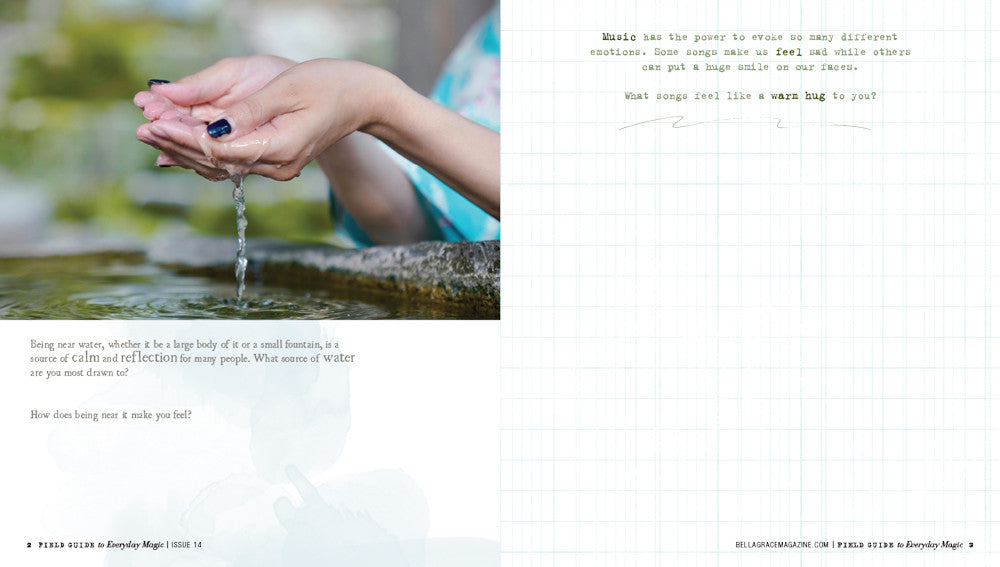 Field Guide to Everyday Magic Issue 14