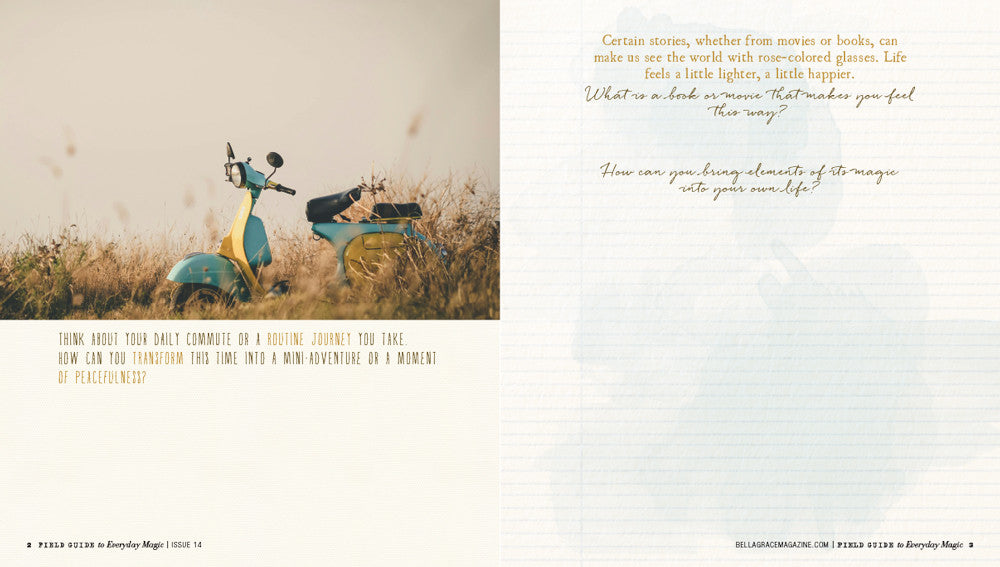 Field Guide to Everyday Magic Issue 14