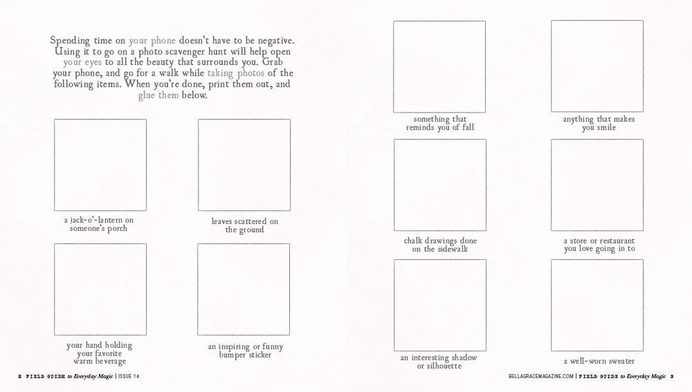 Field Guide to Everyday Magic Issue 14