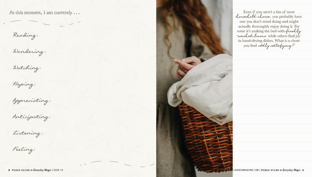 Field Guide to Everyday Magic Issue 14
