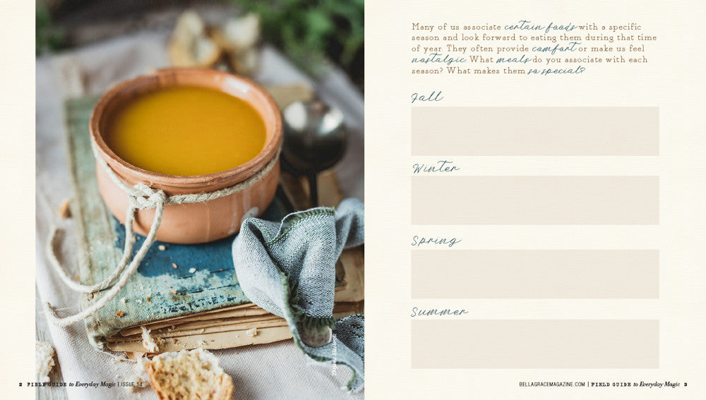 Field Guide to Everyday Magic Issue 14