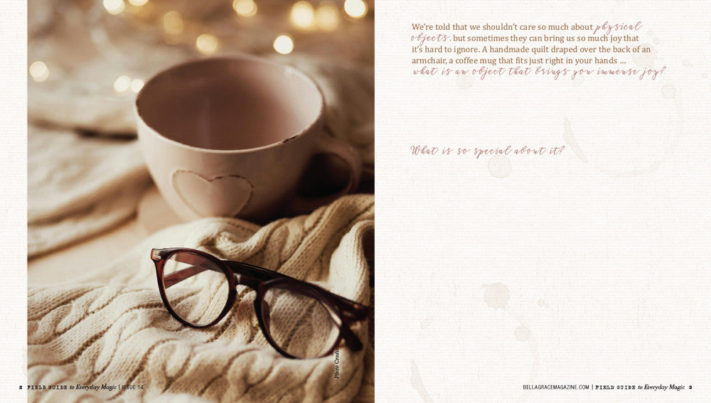 Field Guide to Everyday Magic Issue 14  Instant Download