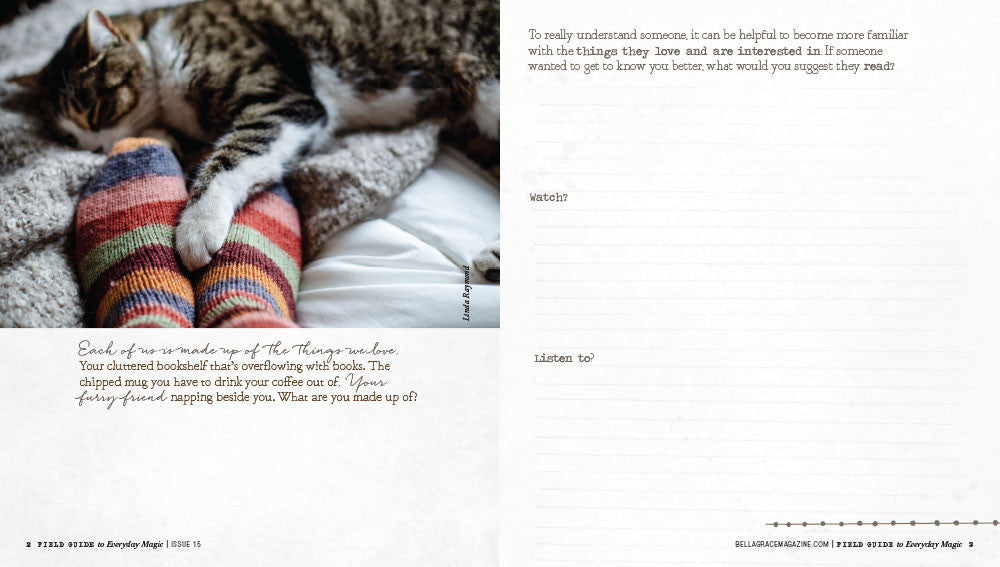 Field Guide to Everyday Magic Issue 15 Instant Download
