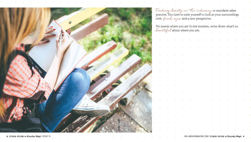 Field Guide to Everyday Magic Issue 15 Instant Download