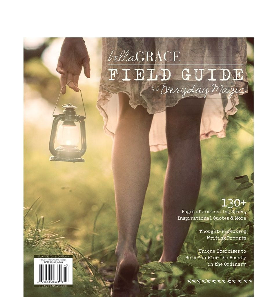 Field Guide to Everyday Magic Issue 14
