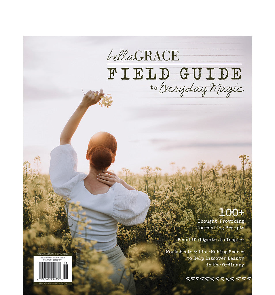 Field Guide to Everyday Magic Issue 15