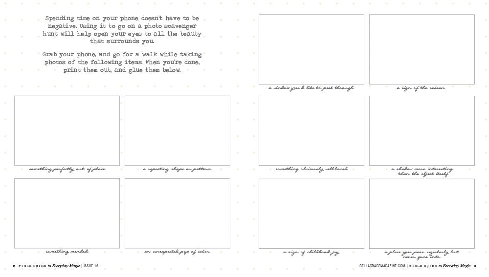 Field Guide to Everyday Magic Issue 16 – New