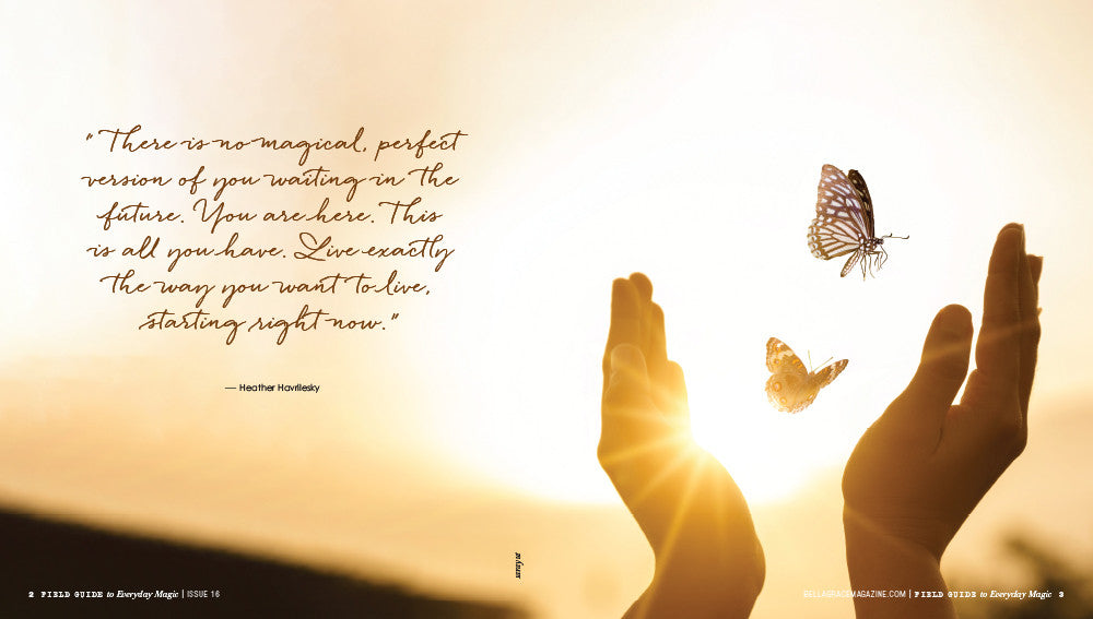 Field Guide to Everyday Magic Issue 16 – New