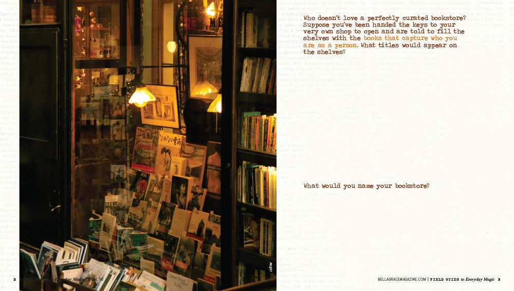 Field Guide to Everyday Magic Issue 16 – New