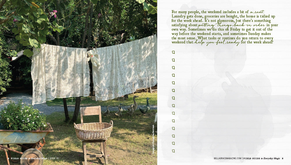 Field Guide to Everyday Magic Issue 16 – New