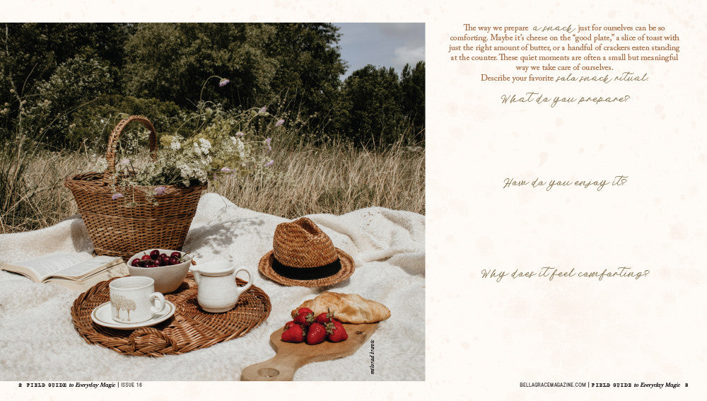 Field Guide to Everyday Magic Issue 16 – New