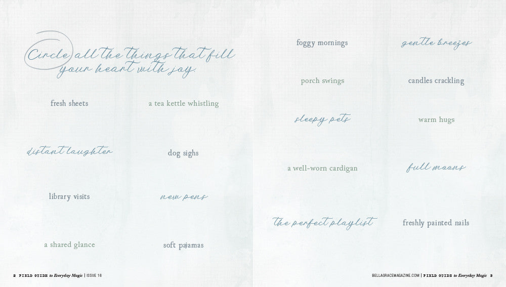Field Guide to Everyday Magic Issue 16 – New