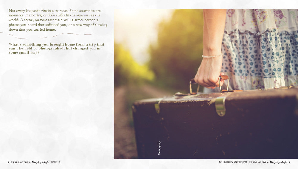 Field Guide to Everyday Magic Issue 16 – New