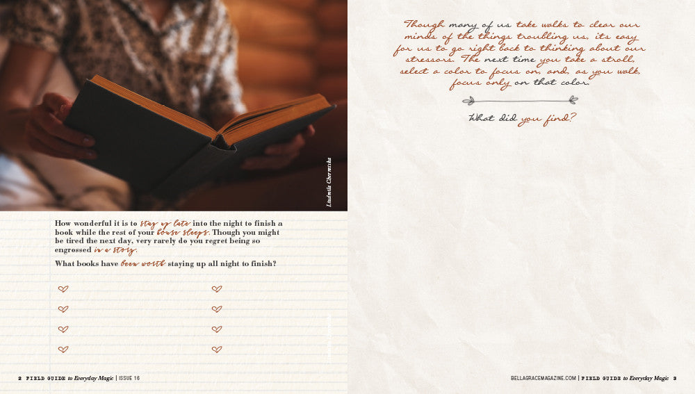 Field Guide to Everyday Magic Issue 16 – New