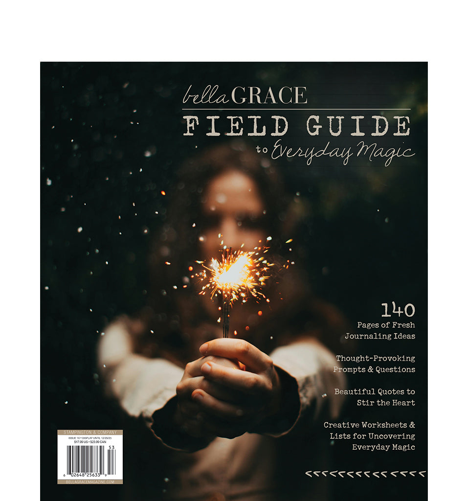 Field Guide to Everyday Magic Issue 16 – New